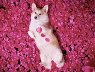 The Body Shop Mother’s&nbsp;Day